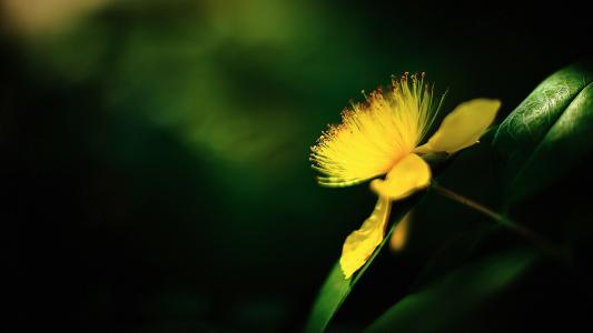 数字能量学|通过手机号码看你的情商怎样